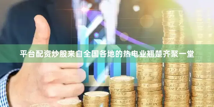 平台配资炒股来自全国各地的热电业翘楚齐聚一堂