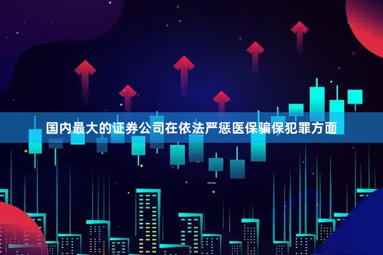 国内最大的证券公司　　在依法严惩医保骗保犯罪方面