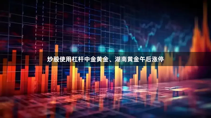 炒股使用杠杆中金黄金、湖南黄金午后涨停