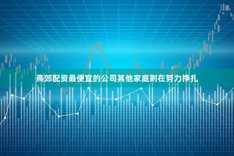燕郊配资最便宜的公司其他家庭则在努力挣扎