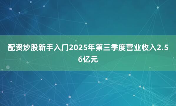 配资炒股新手入门2025年第三季度营业收入2.56亿元